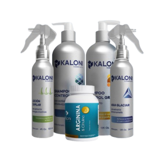 kit kaloni Semestral